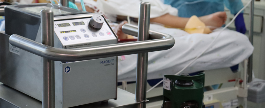 Imagen Verano protegido: prevención y tratamiento frente al virus Hanta