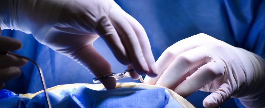 Imagen HGGB y Junaeb retoman convenio de implantes cocleares