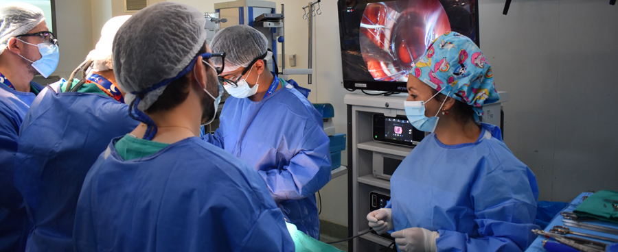 Imagen Reemplazo de válvula mitral con técnica mínimamente invasiva