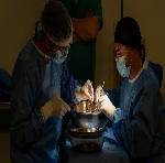 Imagen HGGB único hospital en regiones en participar de cadena nacional