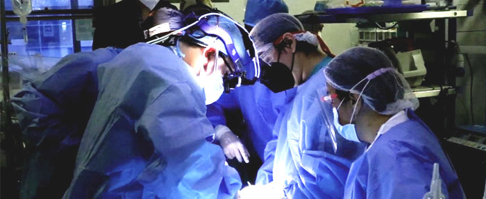 Imagen Se realizó trasplante renal con donante vivo