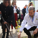 Imagen Plantan árboles para homenajear a donantes de órganos y tejidos